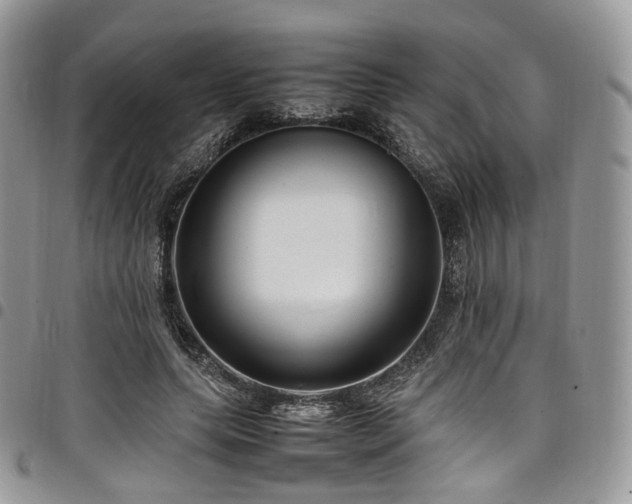 X0000098020639200803281335