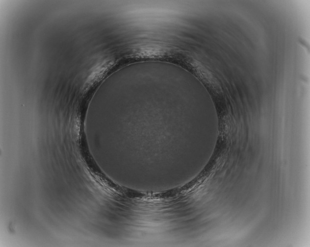 X0000098020640200803281335