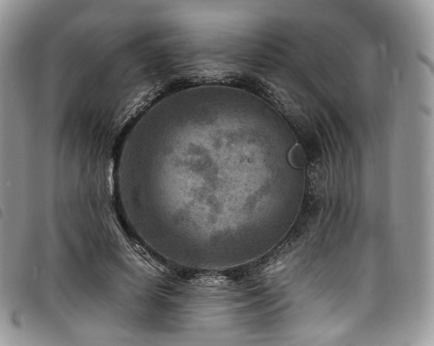 X0000098020642200803281335