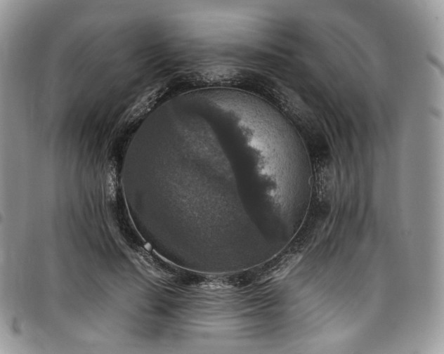 X0000098020644200803281335