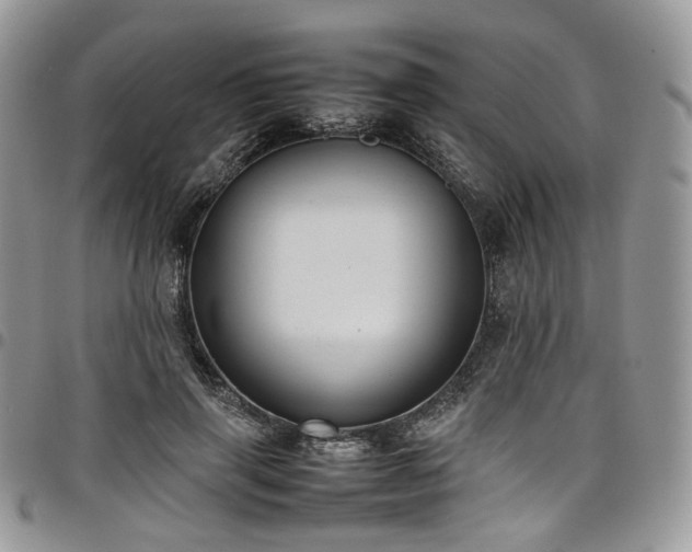 X0000098020645200803281335