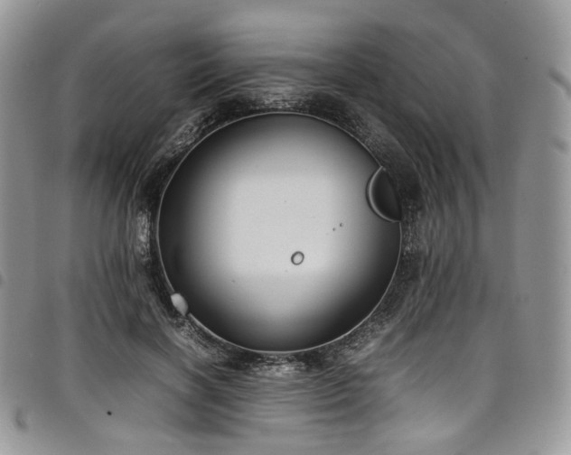 X0000098020646200803281335