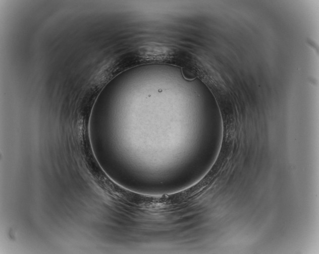 X0000098020647200803281335