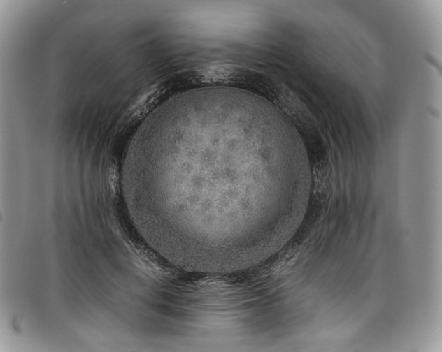 X0000098020648200803281335