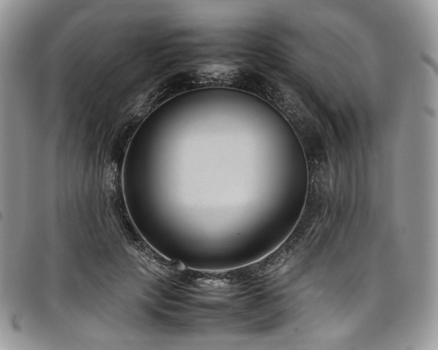 X0000098020649200803281335