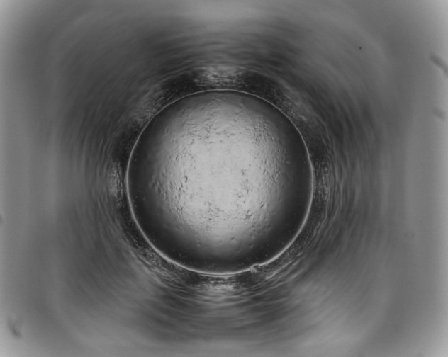 X0000098020651200803281335