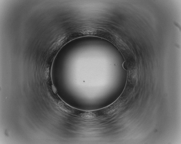 X0000098020652200803281335