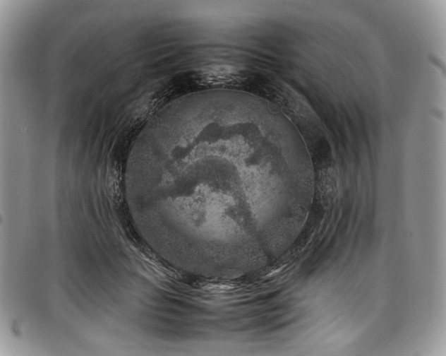 X0000098020653200803281335