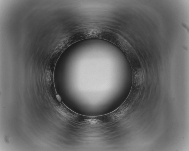 X0000098020654200803281335