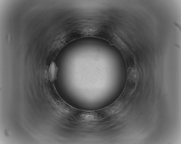 X0000098020655200803281335