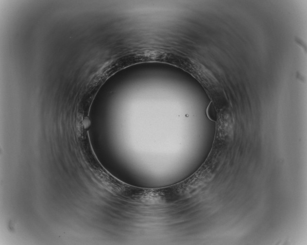 X0000098020656200803281335