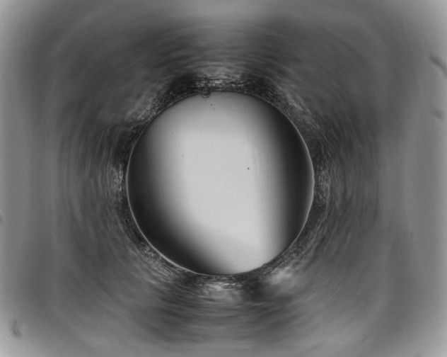 X0000098020657200803281335