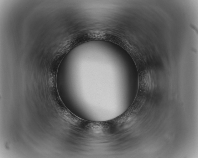 X0000098020658200803281335