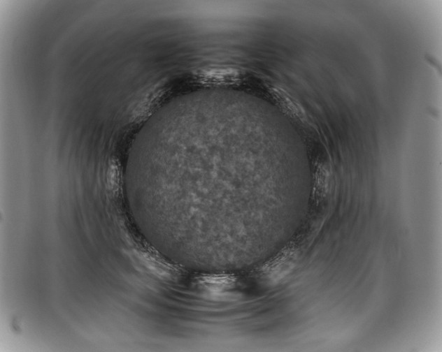 X0000098020659200803281335