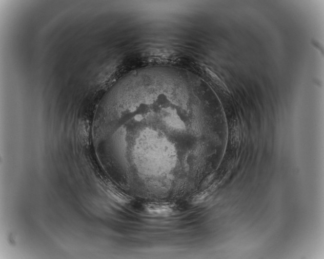 X0000098020661200803281335