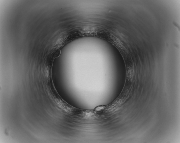 X0000098020662200803281335