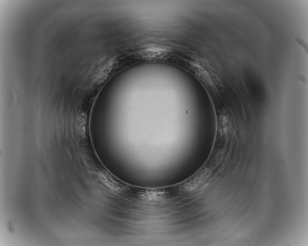 X0000098020664200803281335