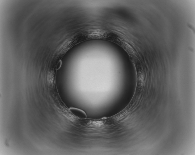 X0000098020665200803281335