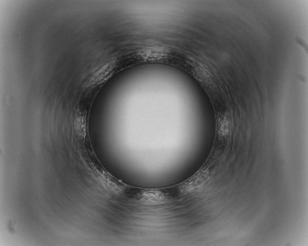 X0000098020666200803281335