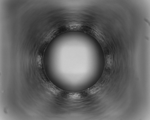 X0000098020667200803281335