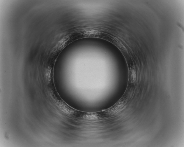 X0000098020668200803281335