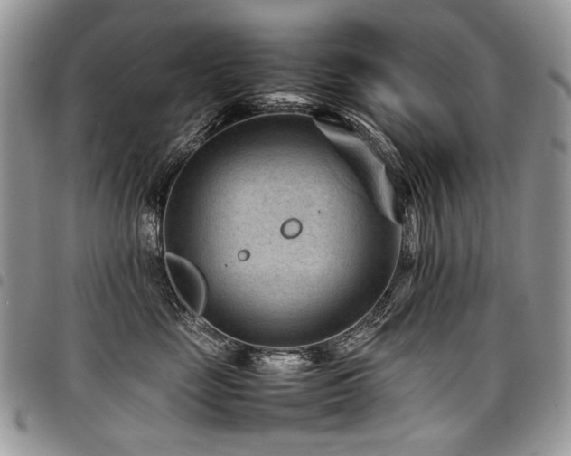 X0000098020669200803281335