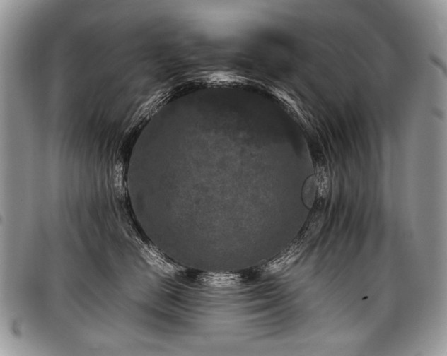 X0000098020670200803281335