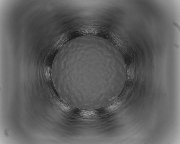 X0000098020671200803281335