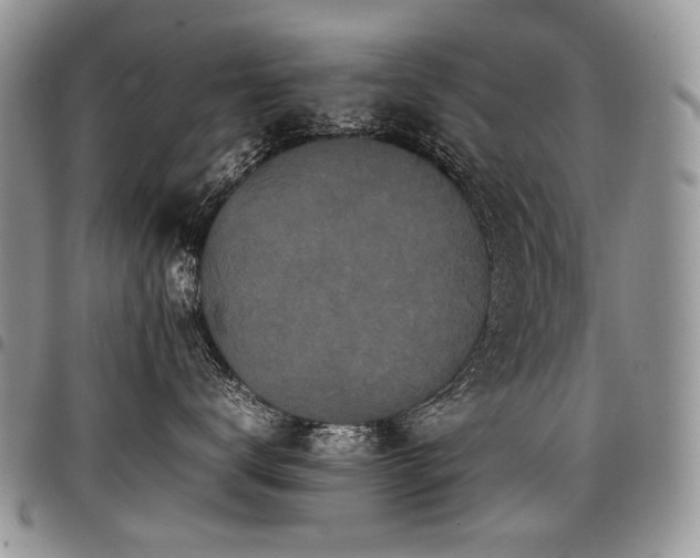 X0000098020672200803281335