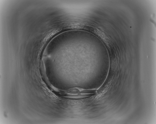 X0000098020673200803281335