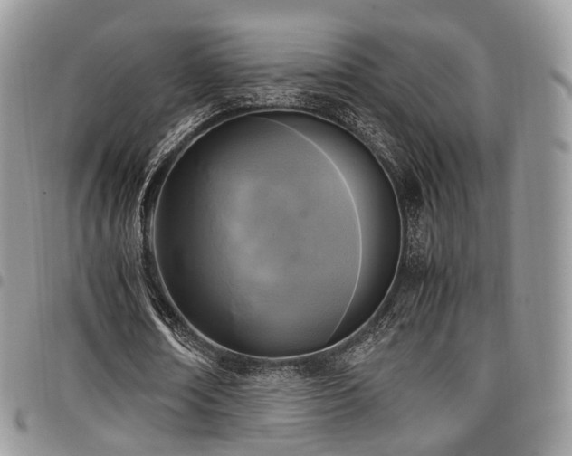 X0000098020674200803281335