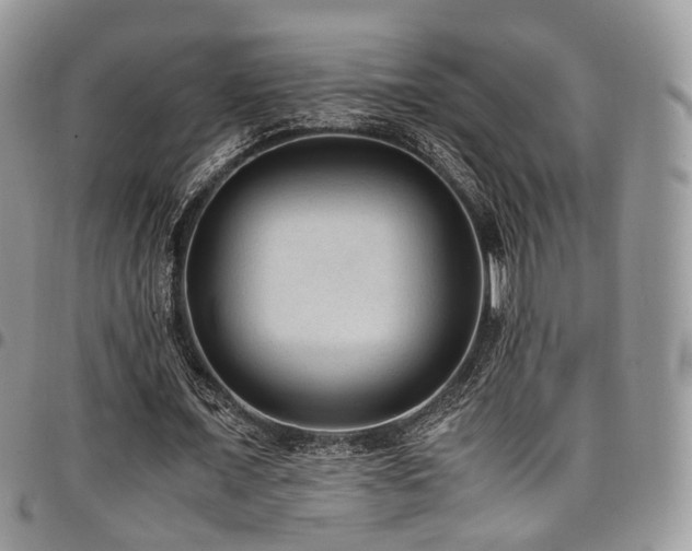 X0000098020675200803281335