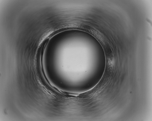 X0000098020676200803281335