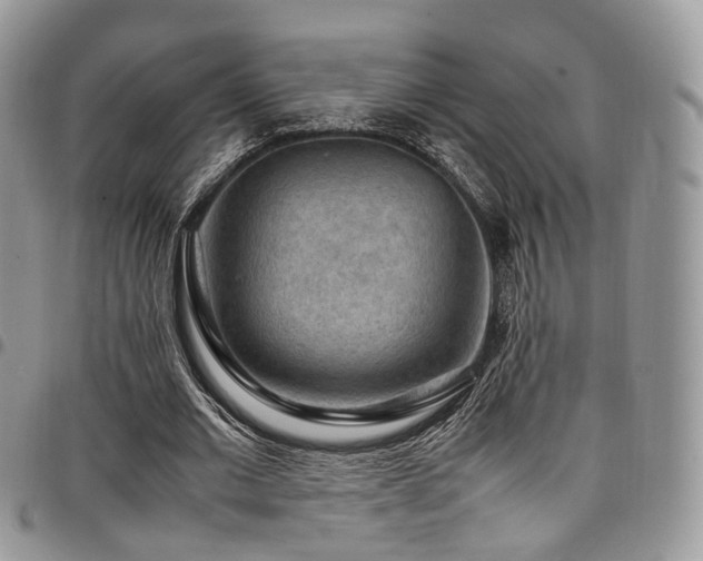 X0000098020677200803281335