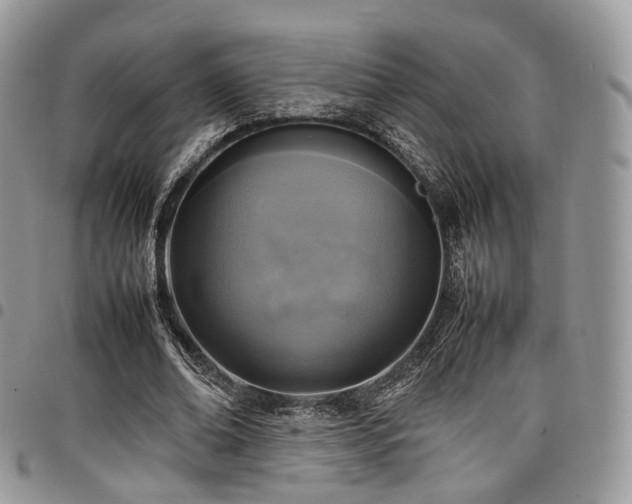 X0000098020678200803281335