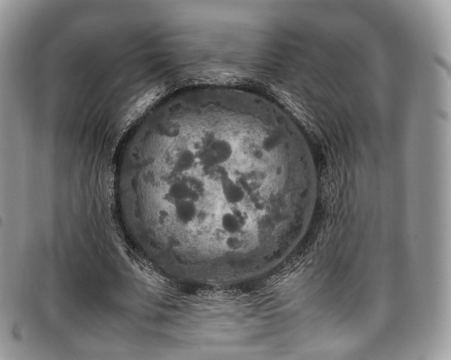 X0000098020679200803281335