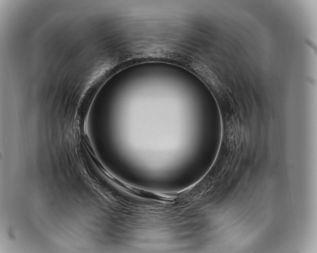 X0000098020680200803281335