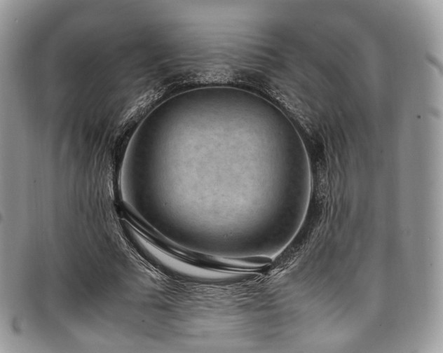 X0000098020681200803281335