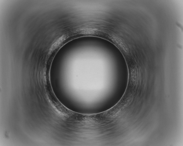 X0000098020682200803281335