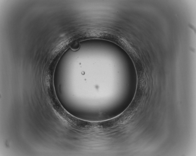 X0000098020683200803281335