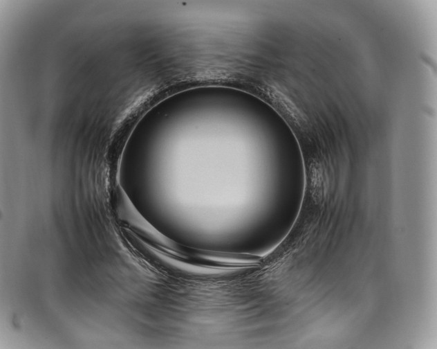 X0000098020684200803281335