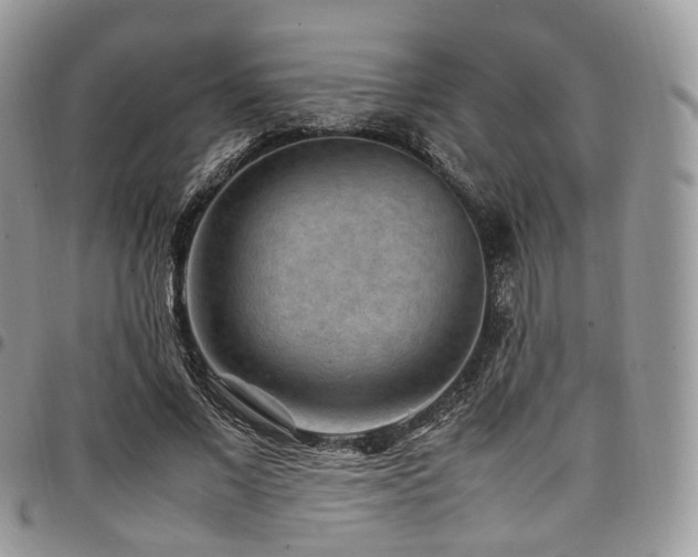 X0000098020685200803281335