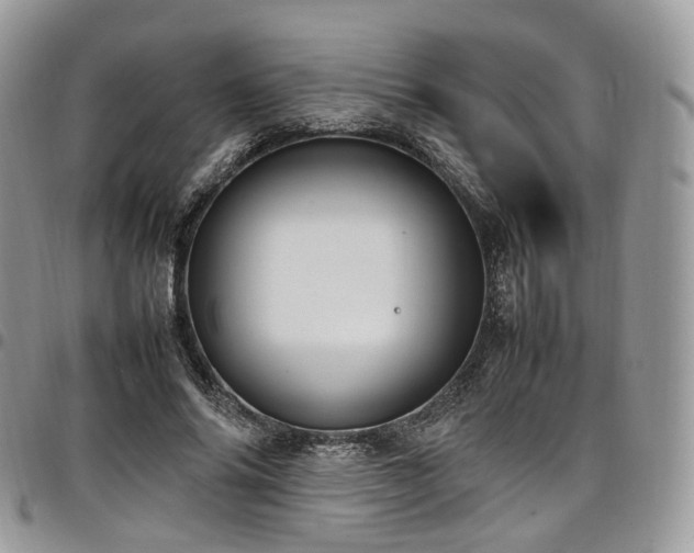 X0000098020686200803281335