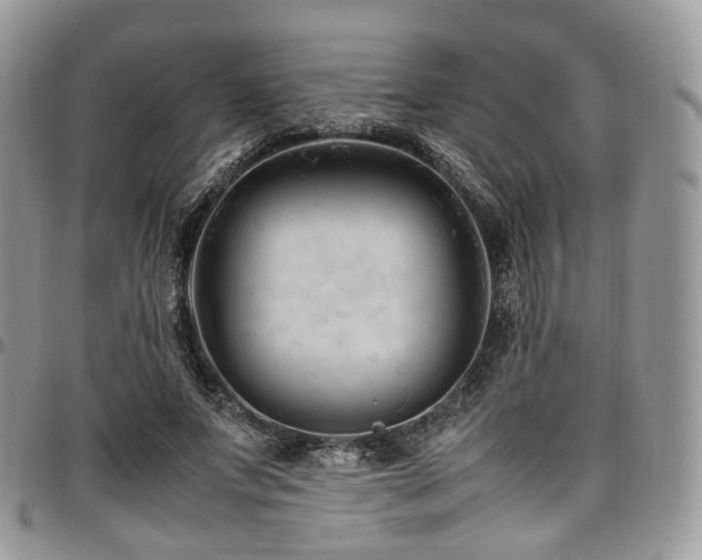 X0000098020687200803281335