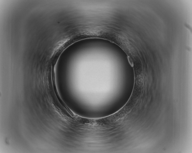 X0000098020688200803281335