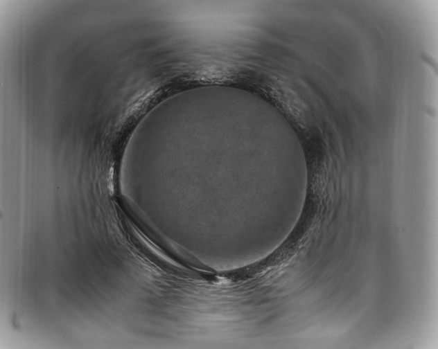 X0000098020689200803281335