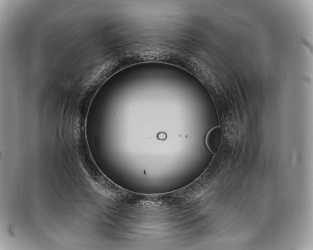 X0000098020690200803281335