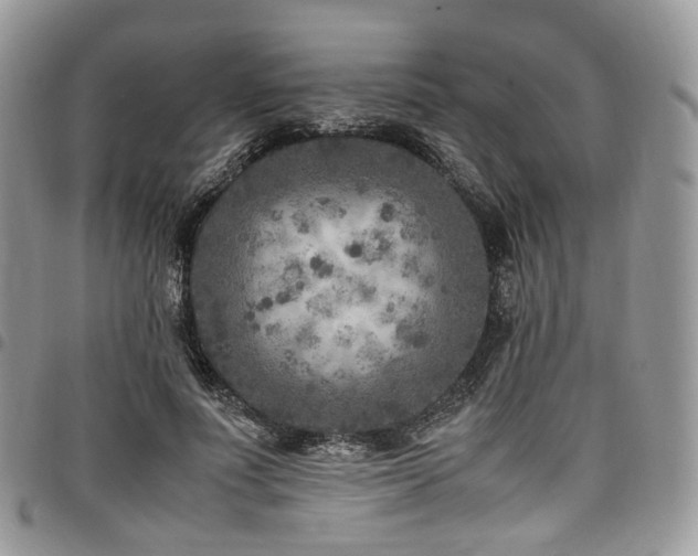 X0000098020691200803281335