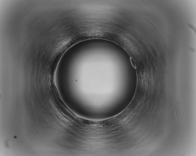 X0000098020692200803281334