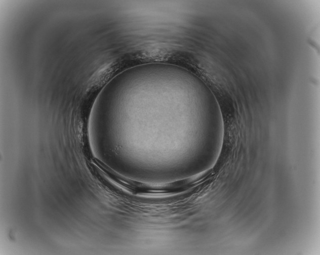 X0000098020693200803281334